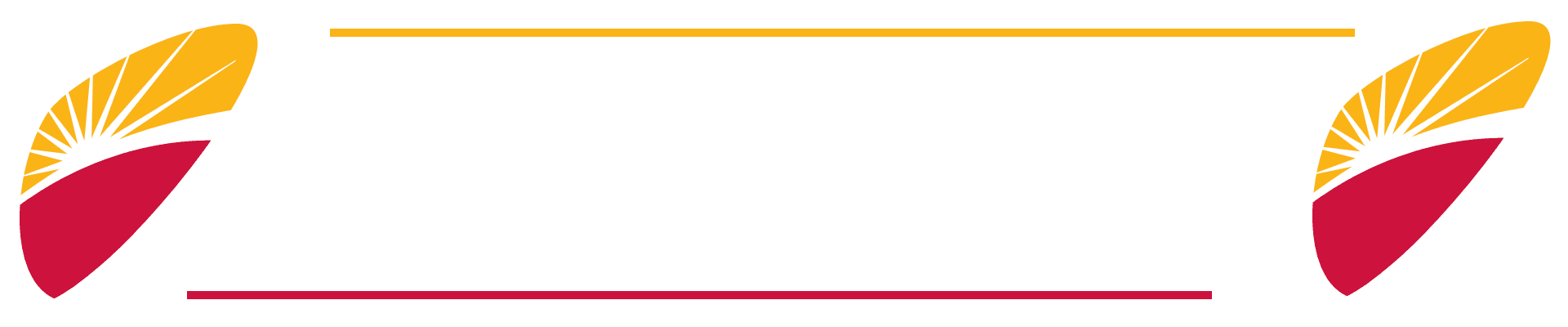 SADACT - Módulo Marcador Telefónico / Doble Linea / RJ31