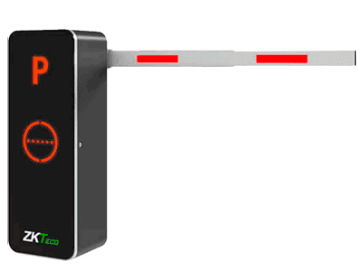 Información General